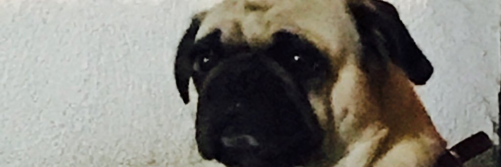 chayitocts's profile banner image