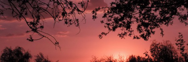 joancwebb Profile Banner