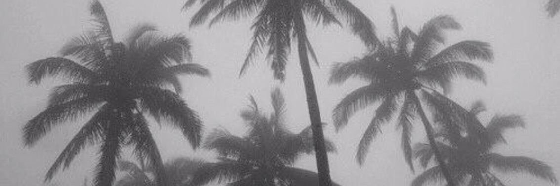 l banner
