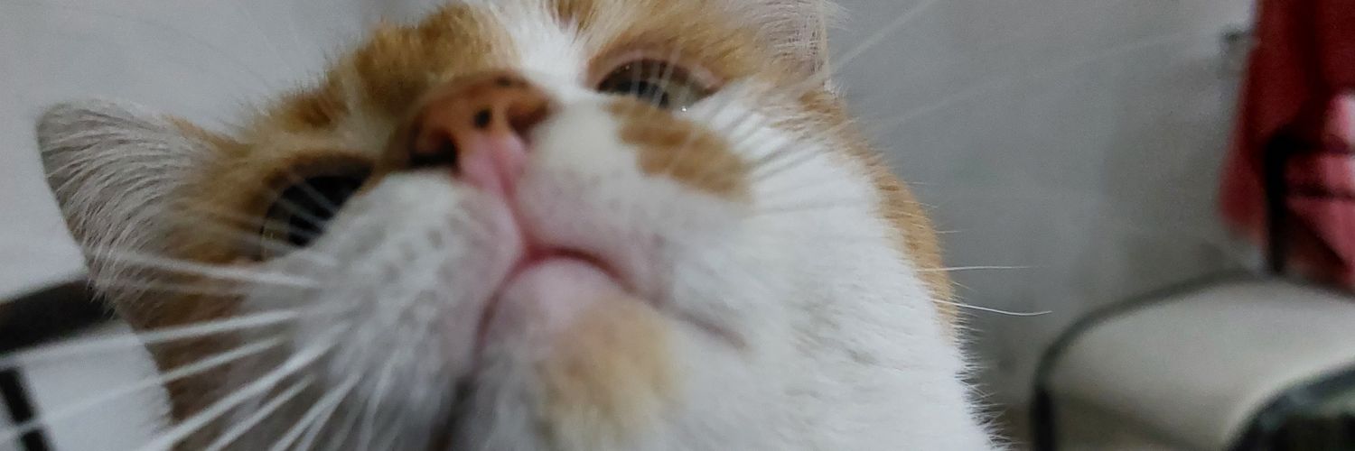 fimssr_'s profile banner image