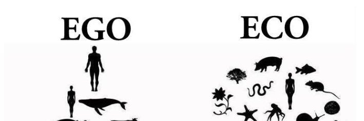 SEMIS Coalition banner