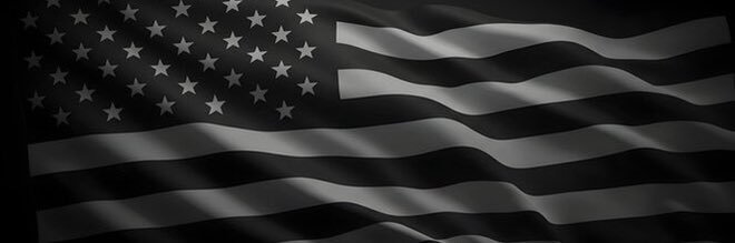 Jon Willis banner