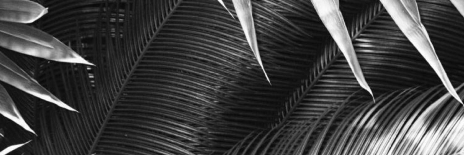 im_jammin's profile banner image