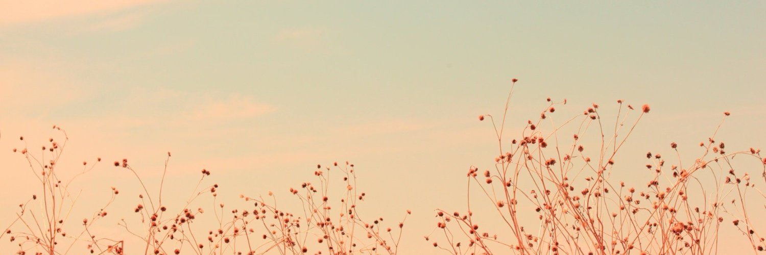 mairisna's profile banner image