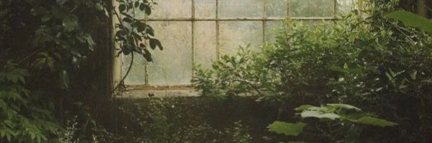 lisa (semi ia) ⋆˚࿔'s banner