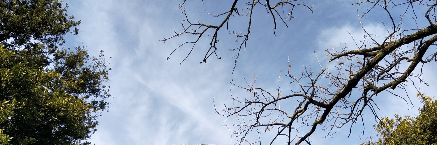 andreeaarod's profile banner image