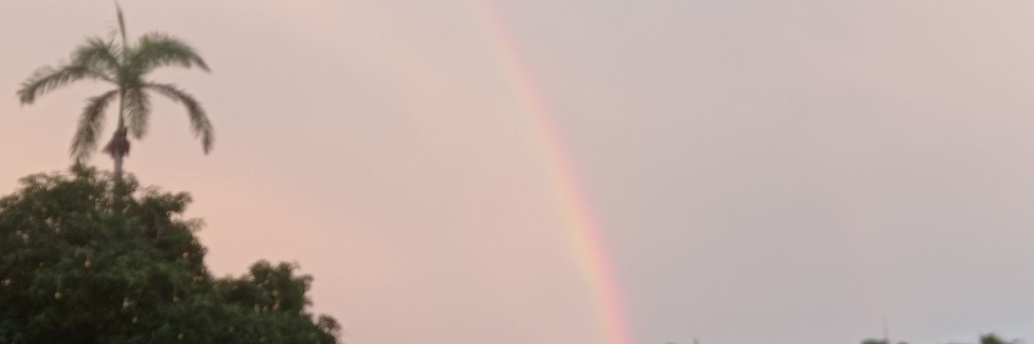 carolapw's profile banner image