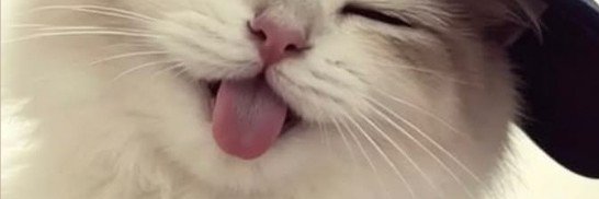 matsum_i's profile banner image