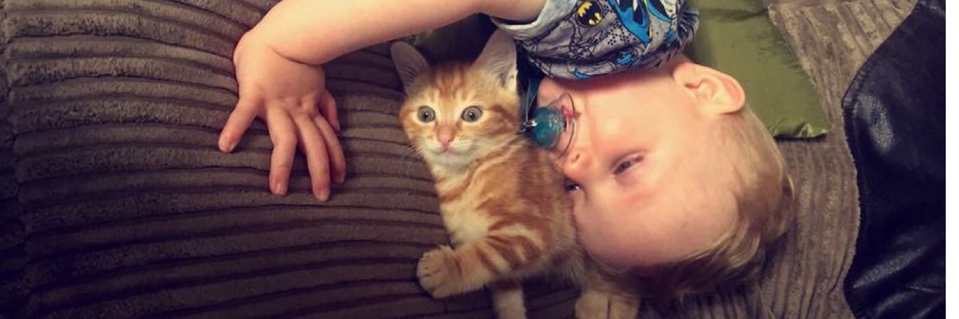 charlbedwellx's profile banner image