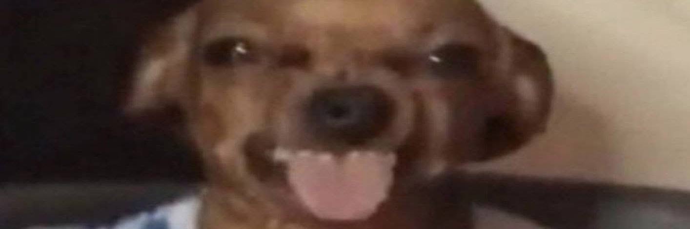 jilly banner