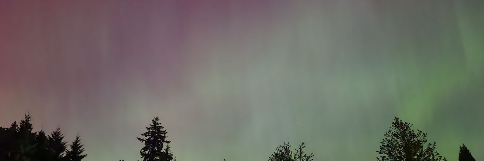 Daniel Rochetti banner