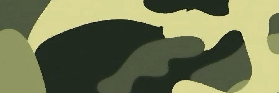 S's banner