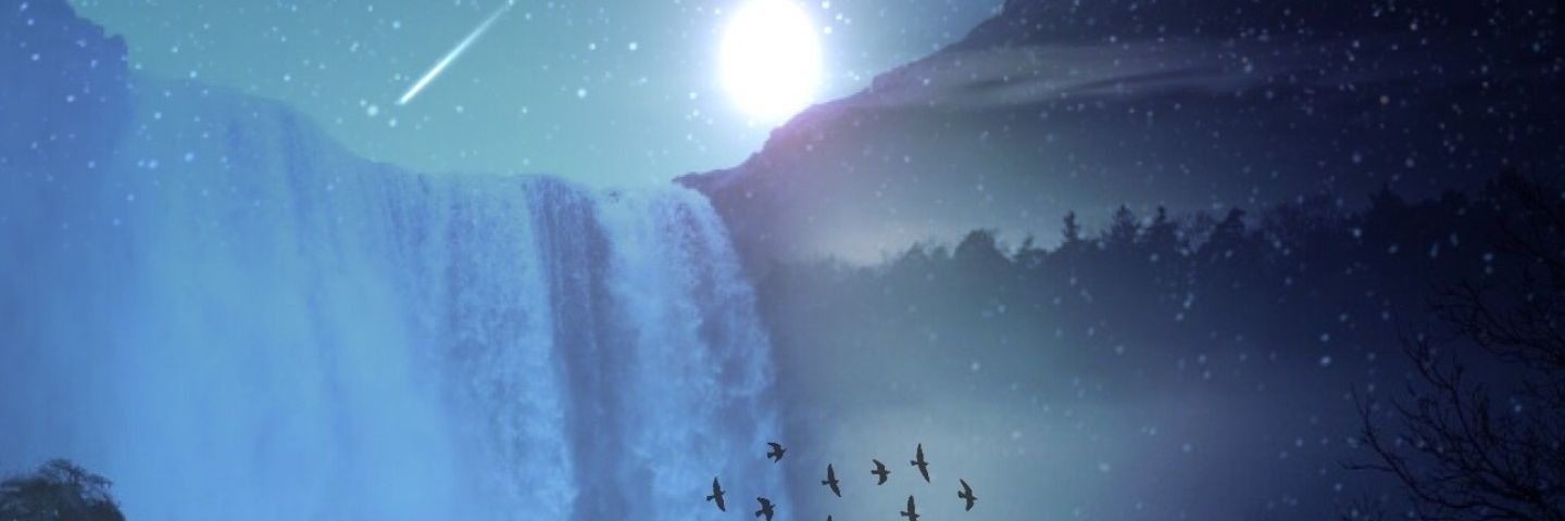 Wilkun banner
