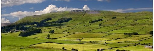 Gen X of the North banner