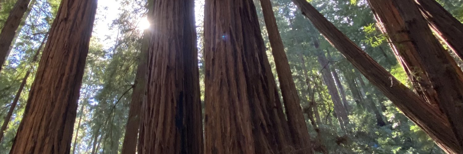 jaredwilley's profile banner image