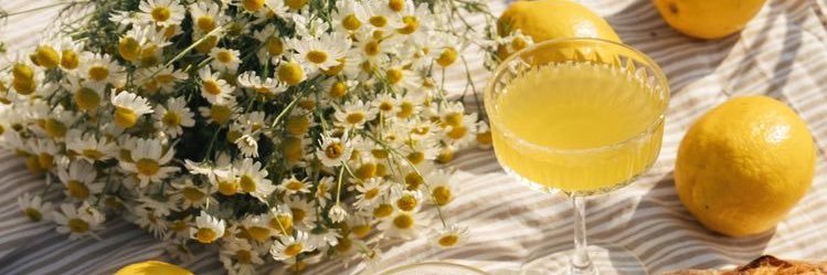 𝘓𝘦𝘮𝘰𝘯 🍋 ͗ ͗ banner