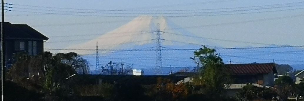 小江戸バラト banner