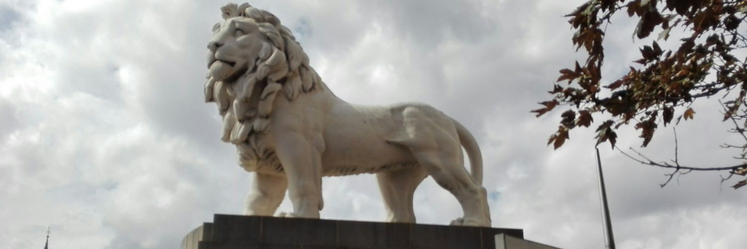 NahuelDGS's profile banner image