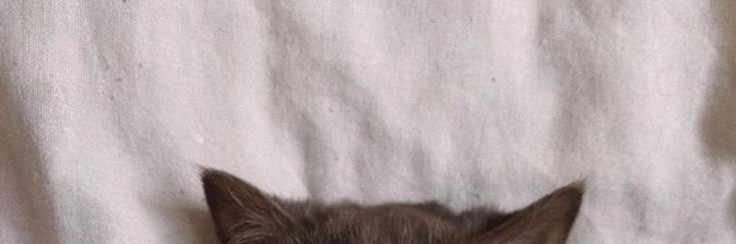 จุนตะคุง banner