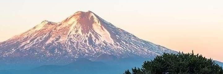 Fredy Muñoz Altamiranda 🇨🇴🇻🇪🇨🇱 banner