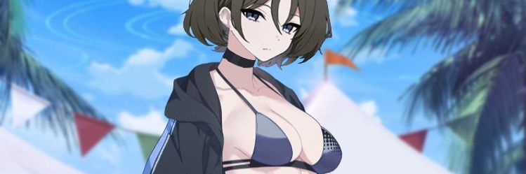 PL700's banner