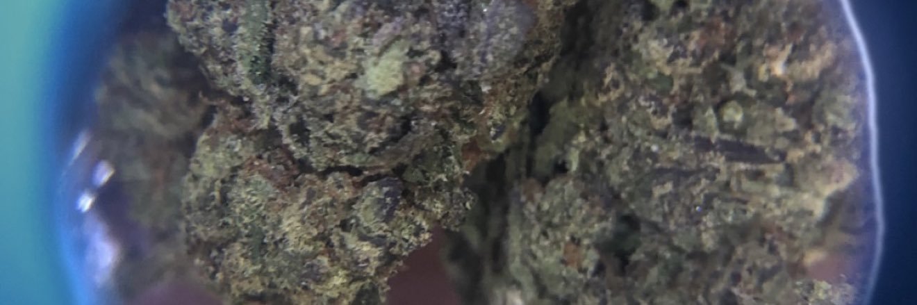 OakShawty's profile banner image