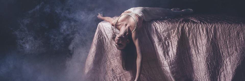 Ballet West banner