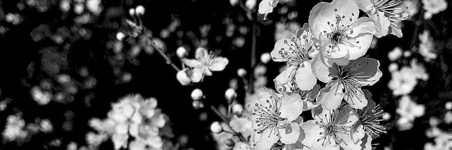 Skylar Grunbaum banner