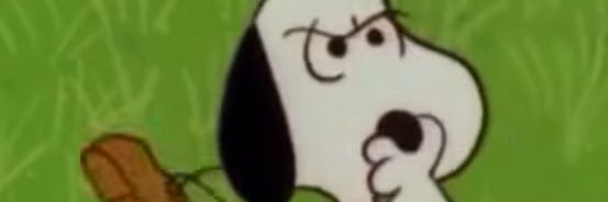 Ari banner