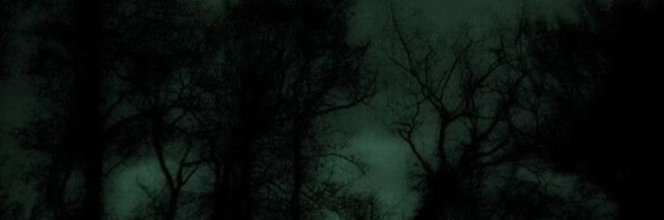 sammy ‎(_ _ ) . . z Z banner