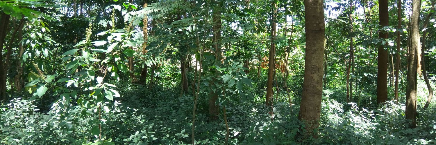 Adamsonsimiyu's profile banner image