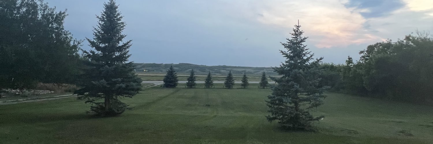 Dickie2j's profile banner image