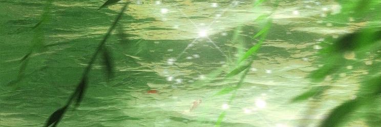 Sébas 🐟 (ทยอยเคลียร์โรล) banner