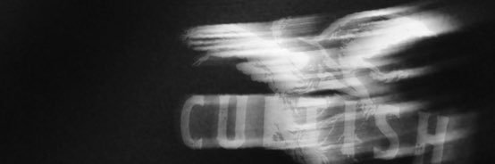 CULTISH banner