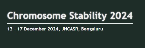 CStability82445 Profile Banner