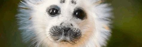 DrJr ☦️🇷🇺 banner