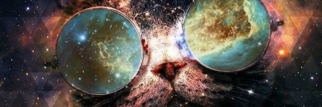 bardolus's profile banner image