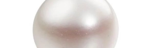 iamstudiopearl's profile banner image