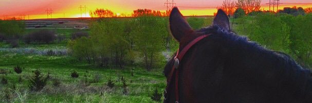 bdarock55's profile banner image
