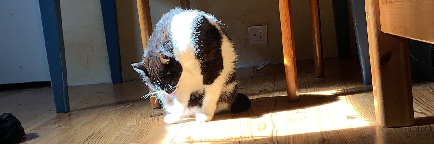 Chavi Enjoyer banner