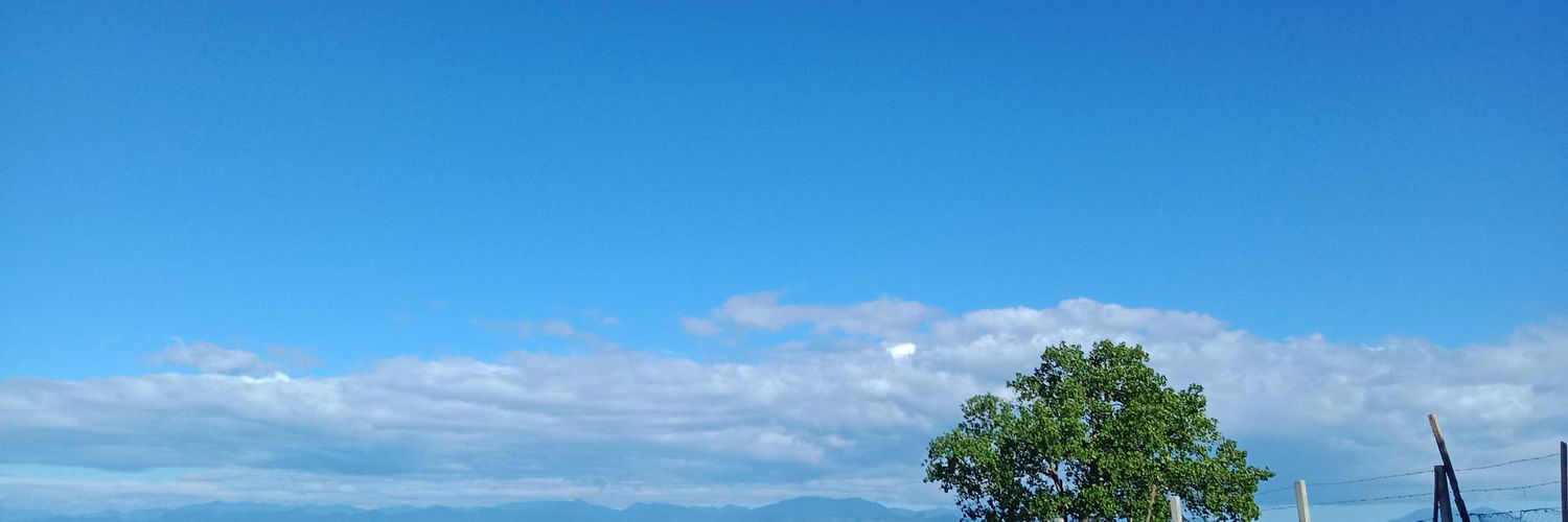 Arjean Espinosa banner