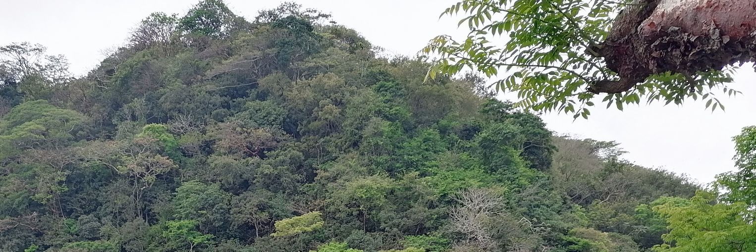 agrosot's profile banner image