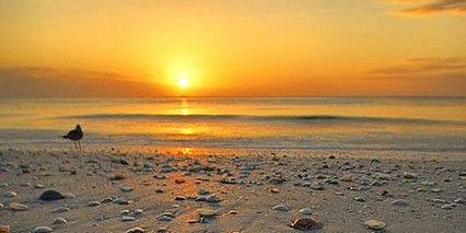 Angela_Yost's profile banner image