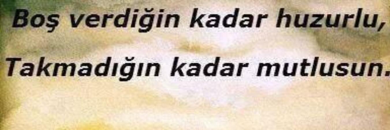 dn_yildiz's profile banner image