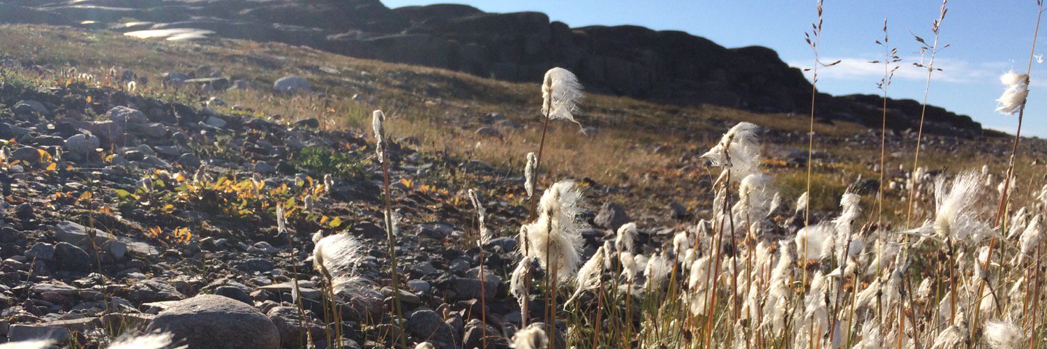 kathymesnow's profile banner image