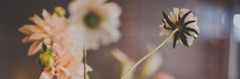T. Morpheus 🧫🔬 (slow) banner