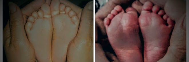 emilsecomolli's profile banner image