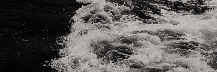 Avi 𓍯𓂃 ;edtwt banner