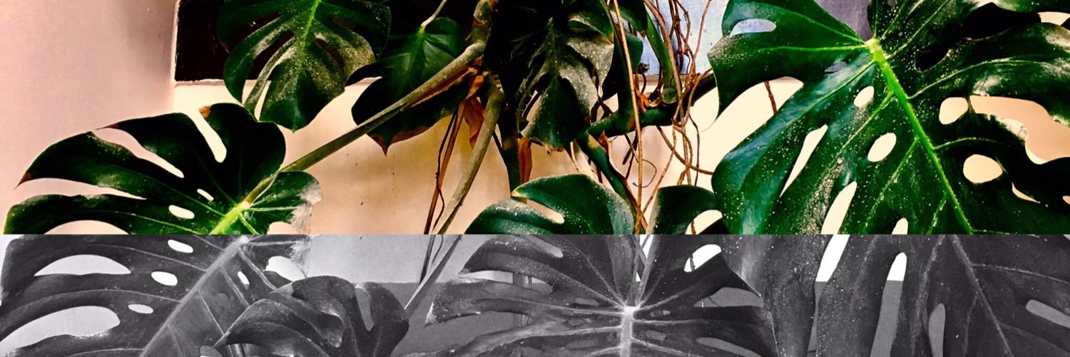 sandramantra's profile banner image