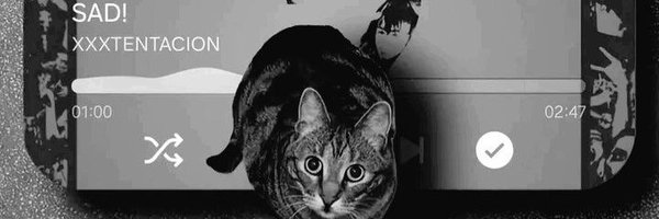 raiderofweb3 Profile Banner